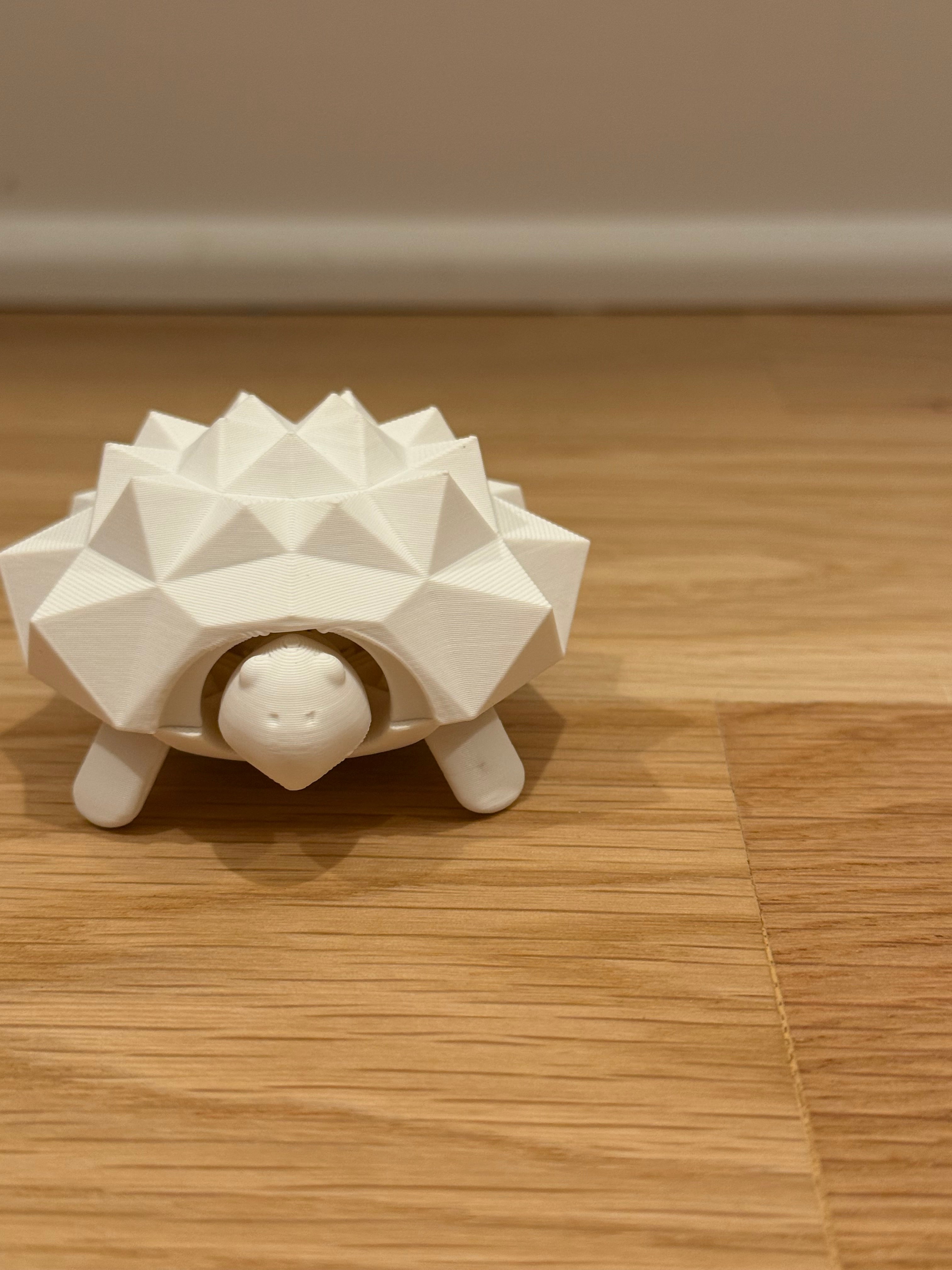 Squishy Turtle